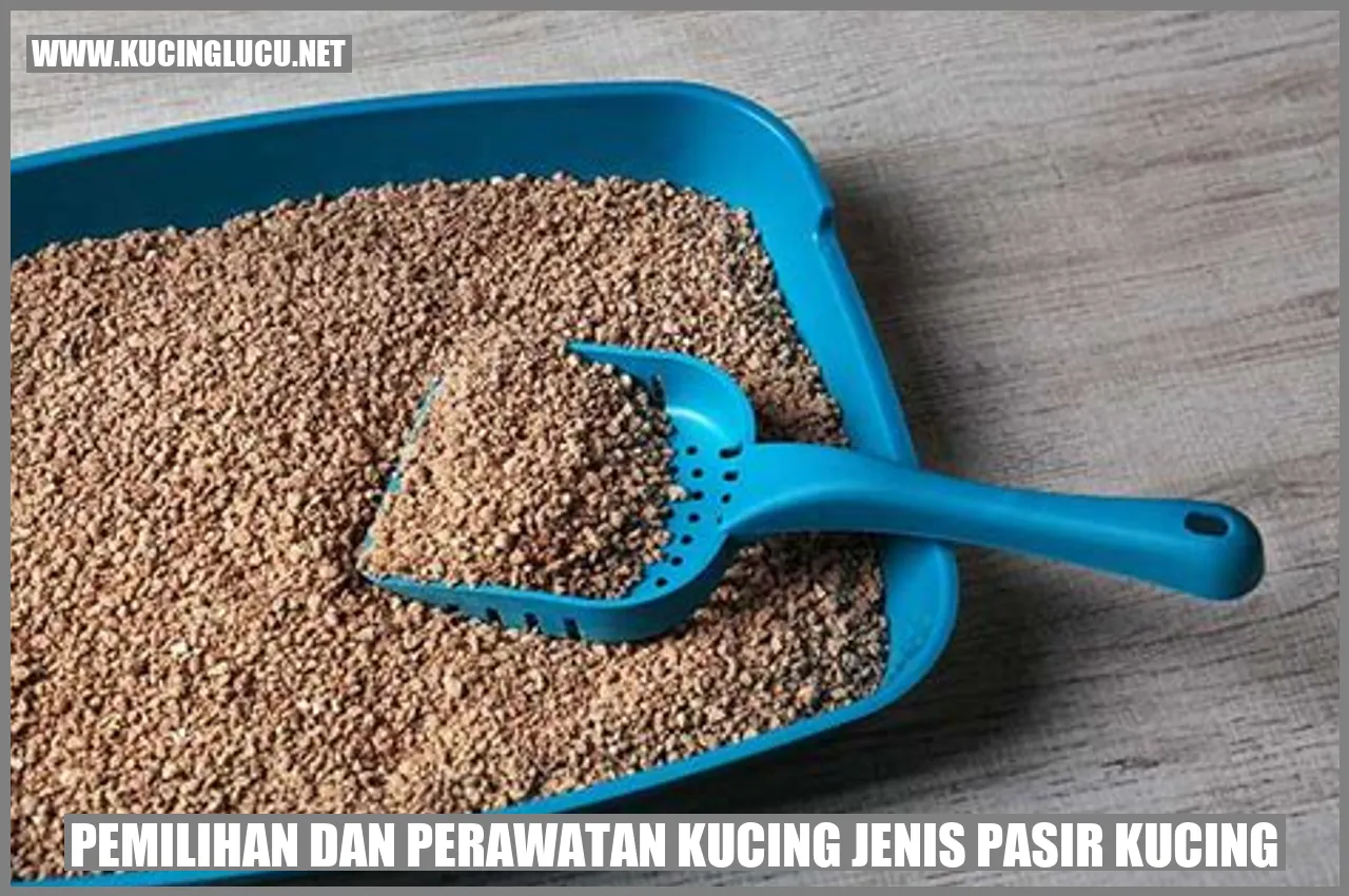 Gambar Kucing yang Cantik