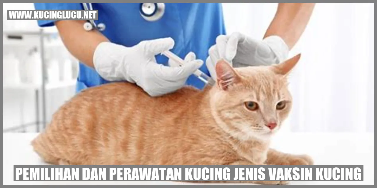 Kucing Menggunakan Vaksin Kucing