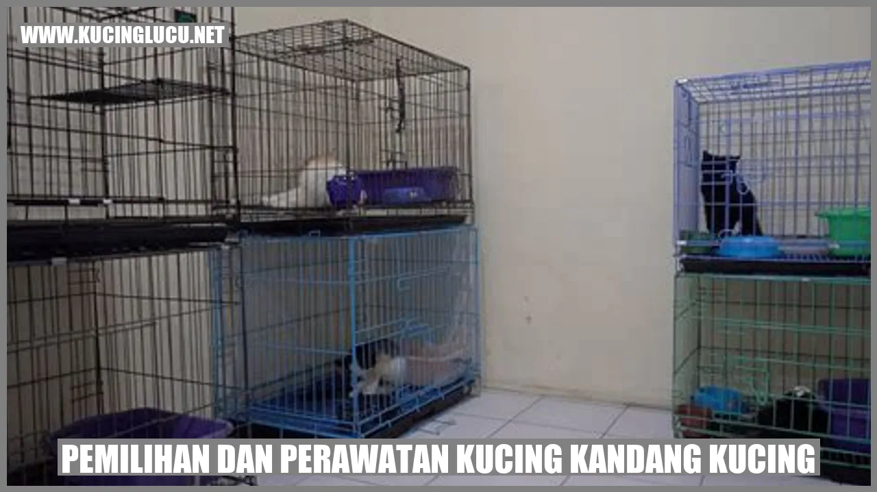 Gambar kucing di kandang