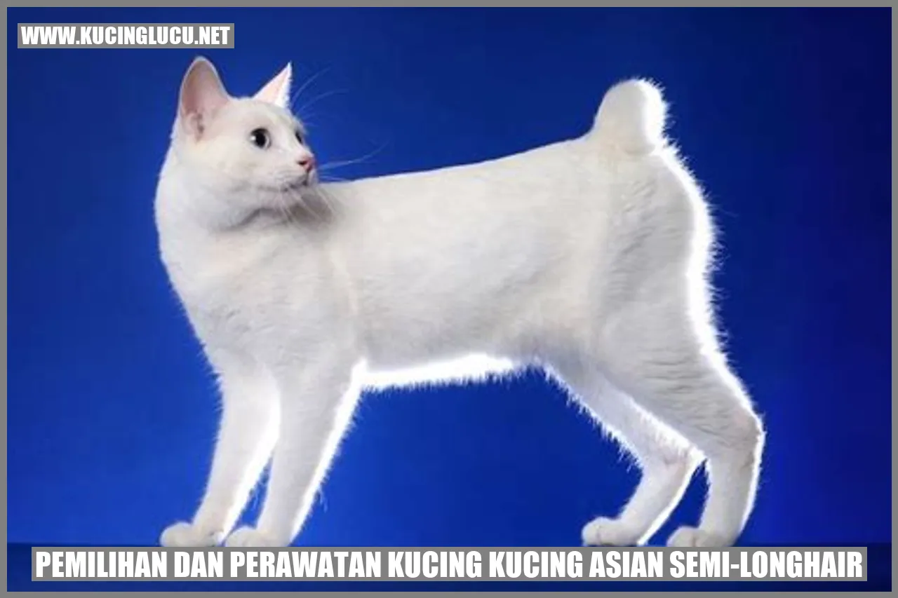 Kucing Asian Semi-Longhair