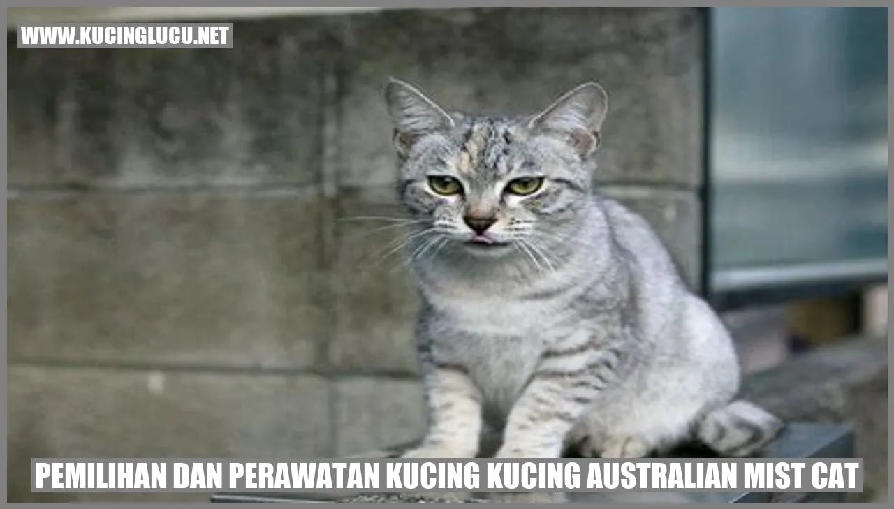 Kucing Australian Mist Cat