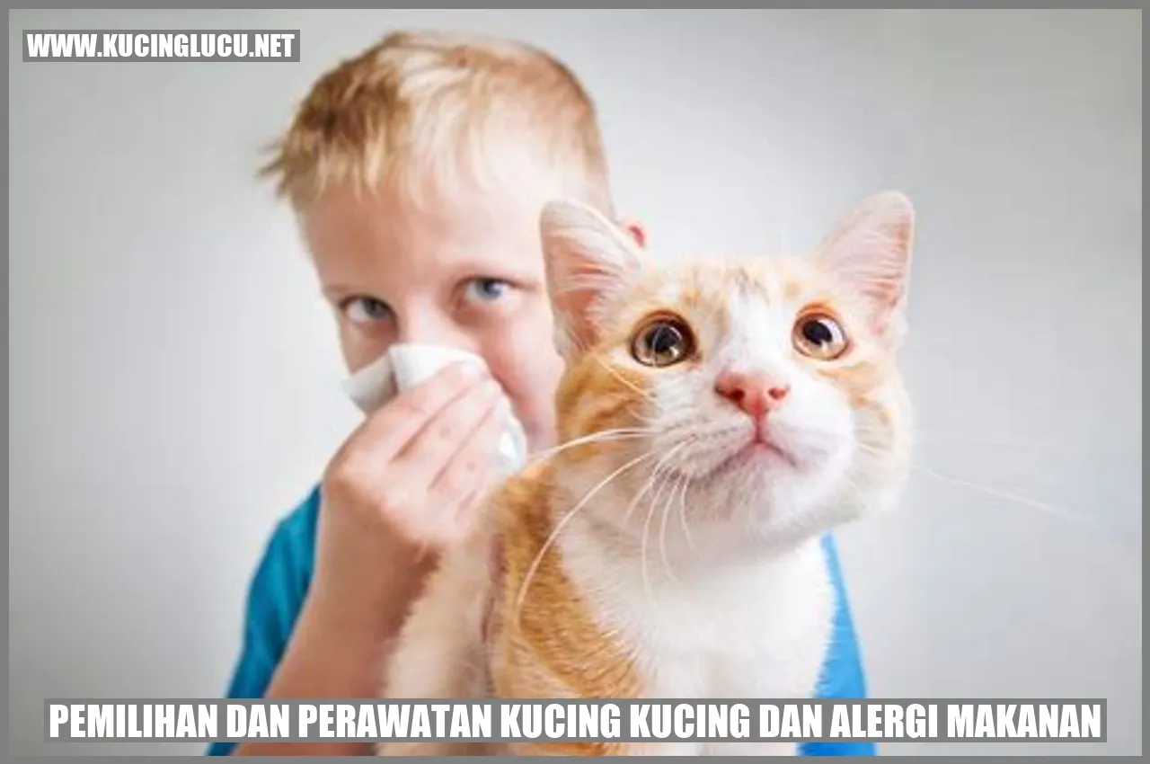 Kucing Mengalami Alergi Makanan