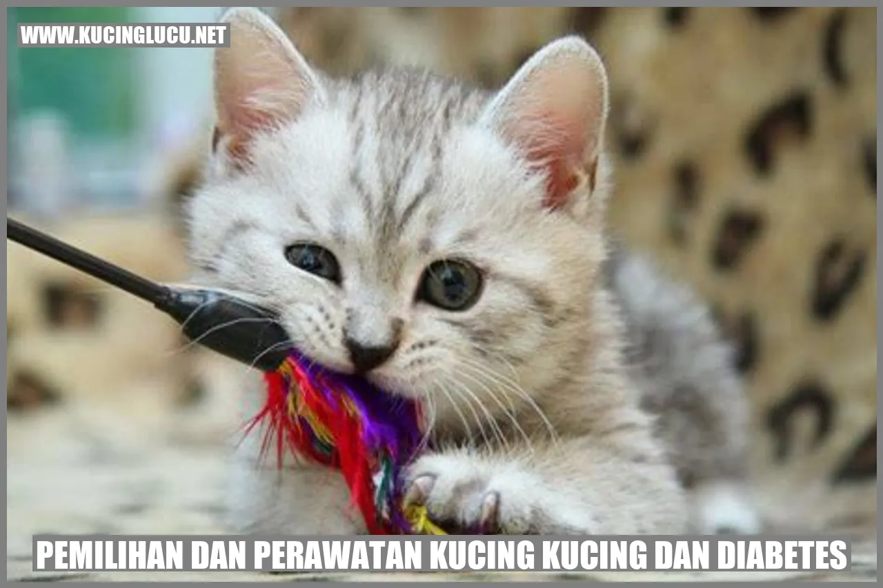 Kucing dan Diabetes