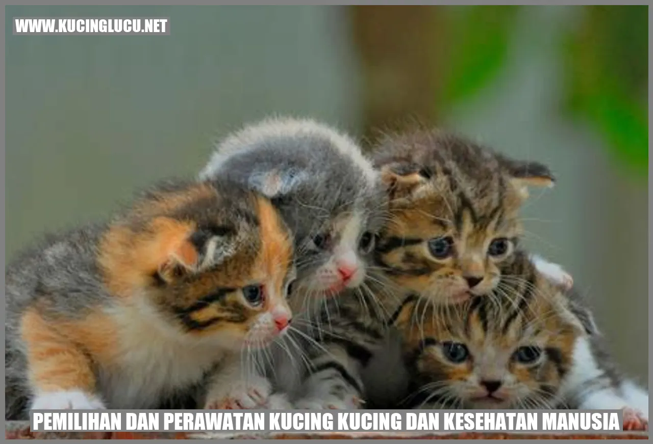 Kucing dan kesehatan manusia