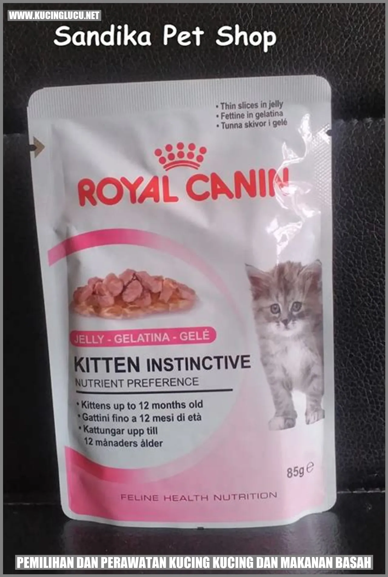 Kucing dan makanan basah