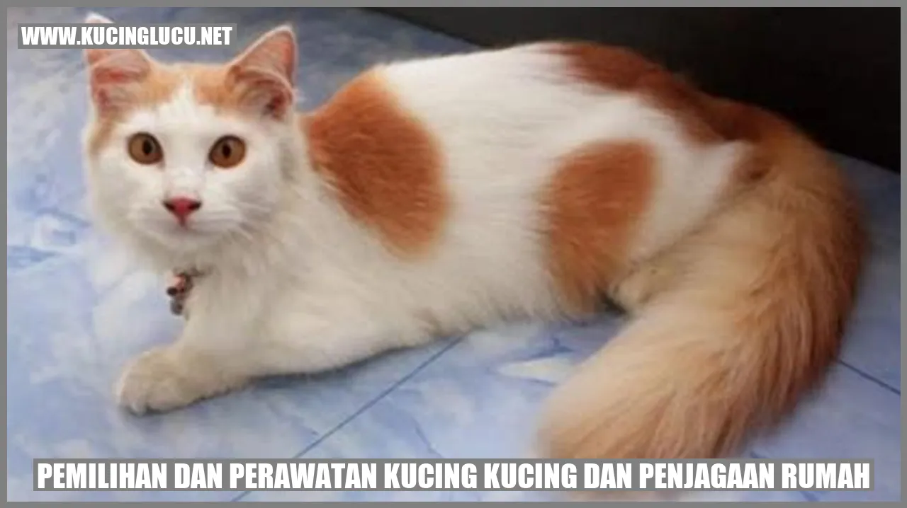 Kucing yang Menggemaskan