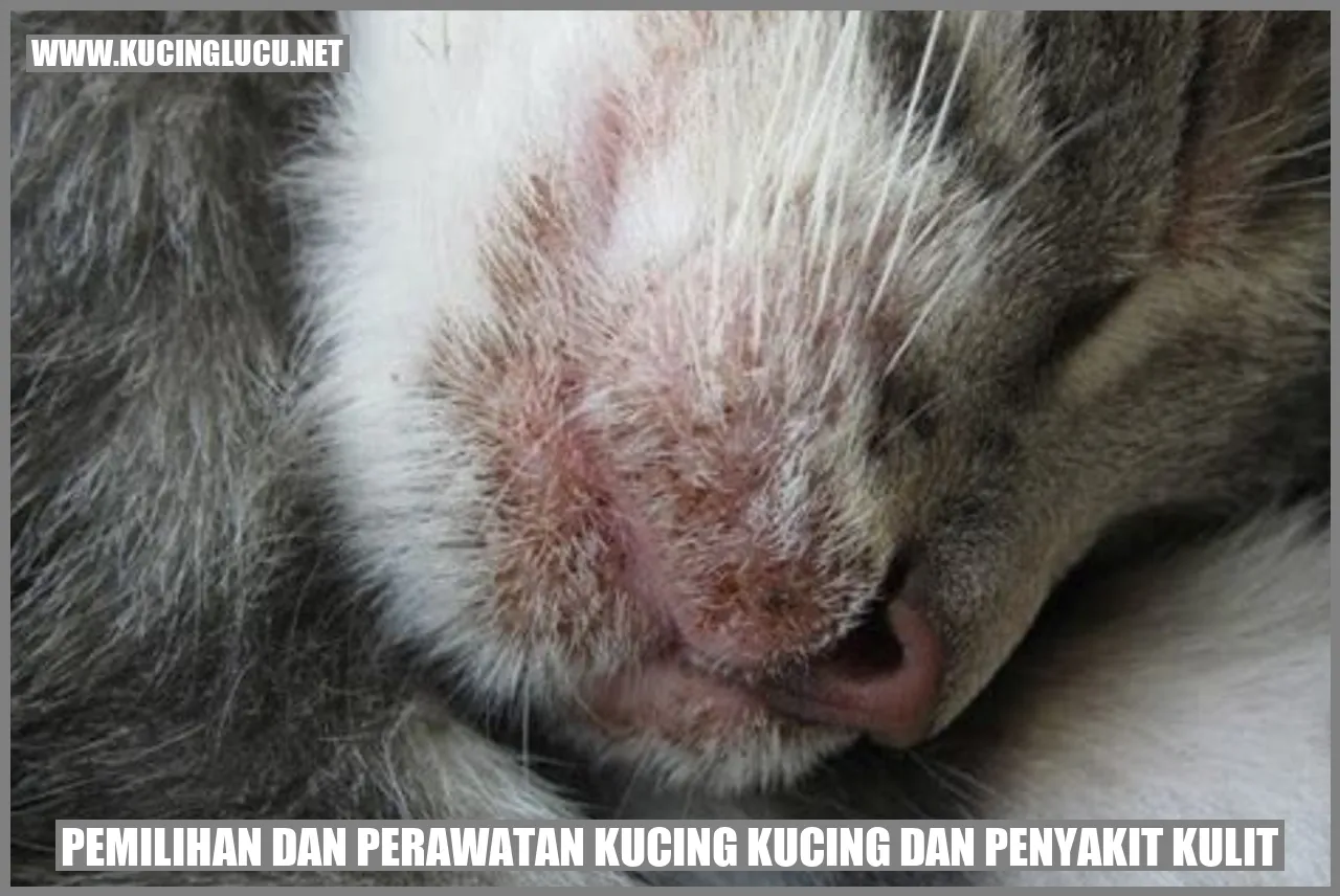 Kucing sedang tidur