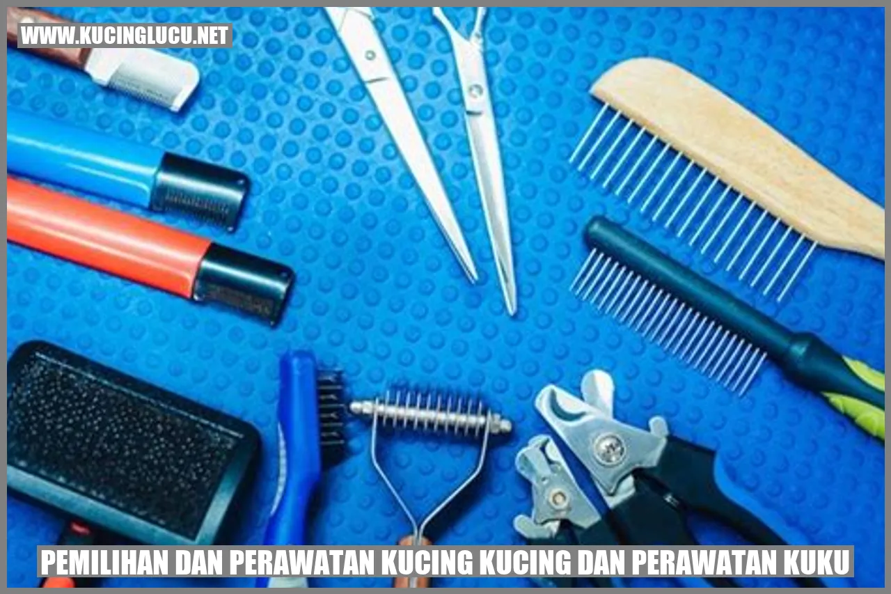 Pemilihan dan Perawatan Kucing