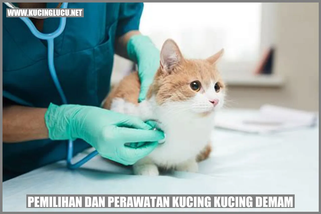 Kucing Demam