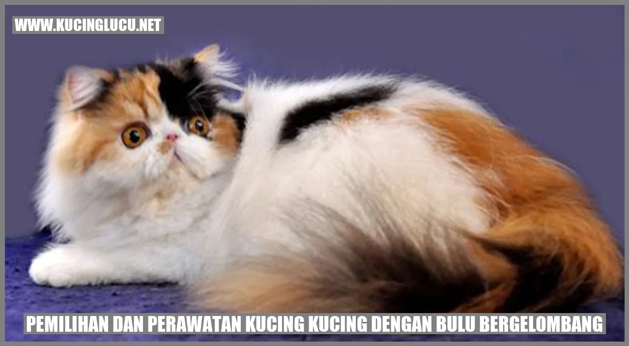 Kucing dengan bulu bergelombang