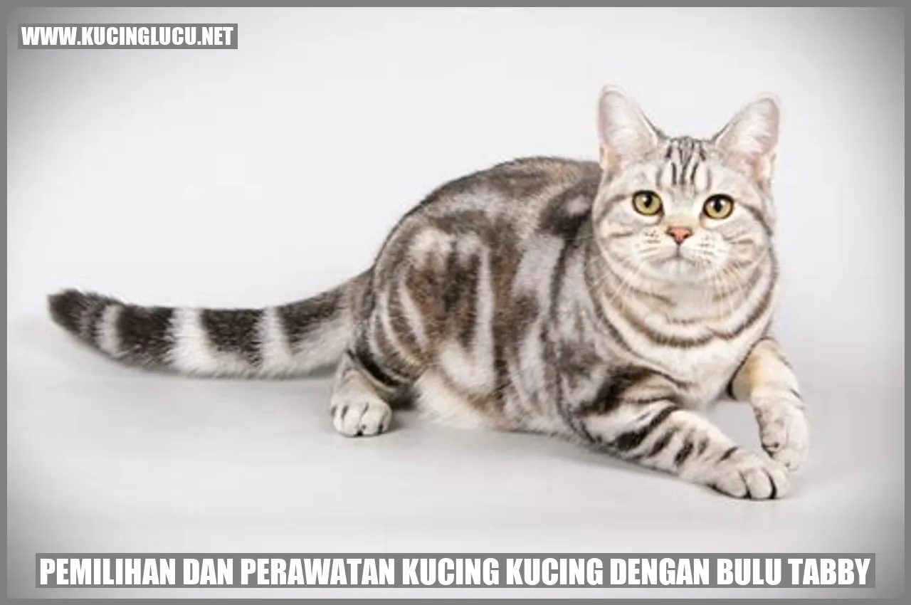 Kucing dengan Bulu Tabby