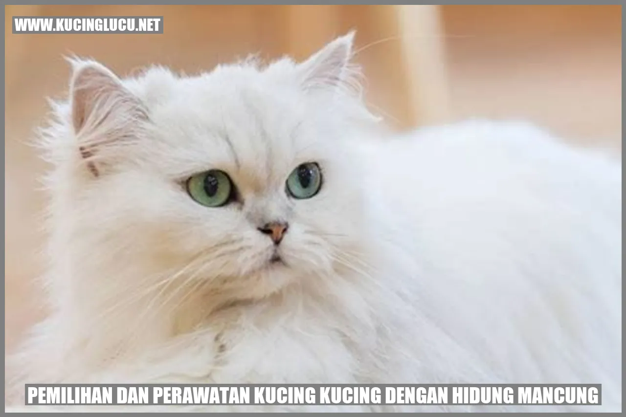 Foto kucing dengan bentuk hidung yang khas