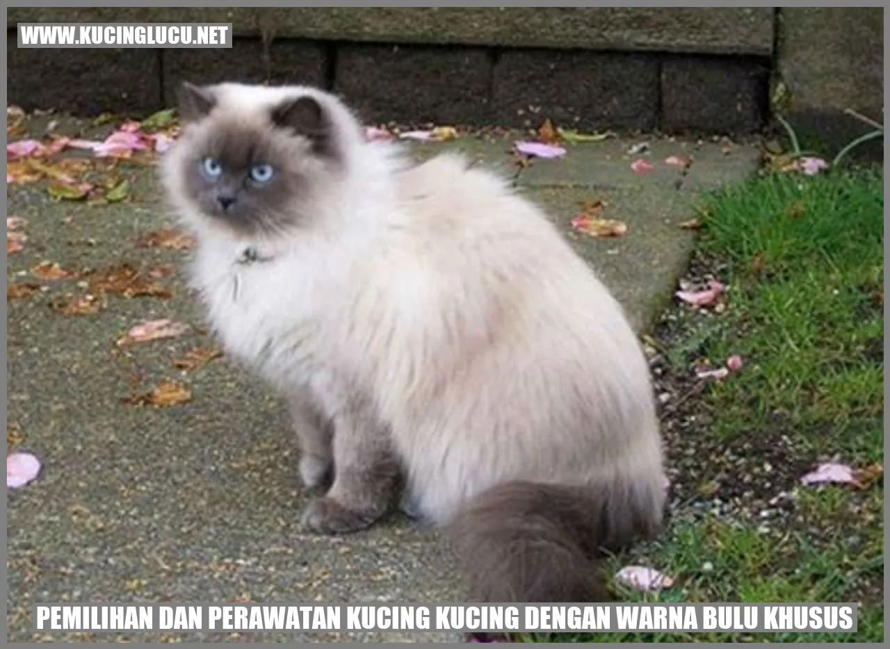 Kucing dengan Warna Bulu Khusus