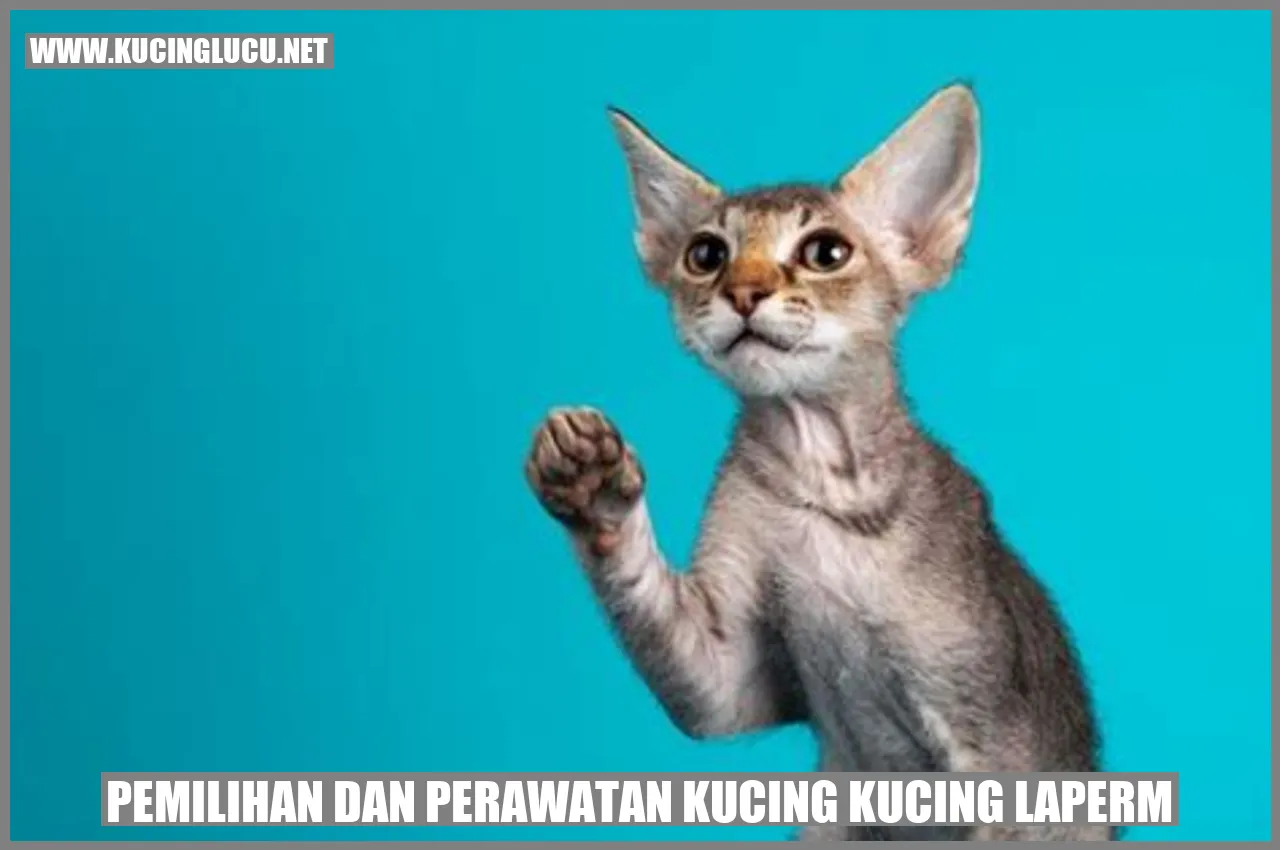 Kucing LaPerm