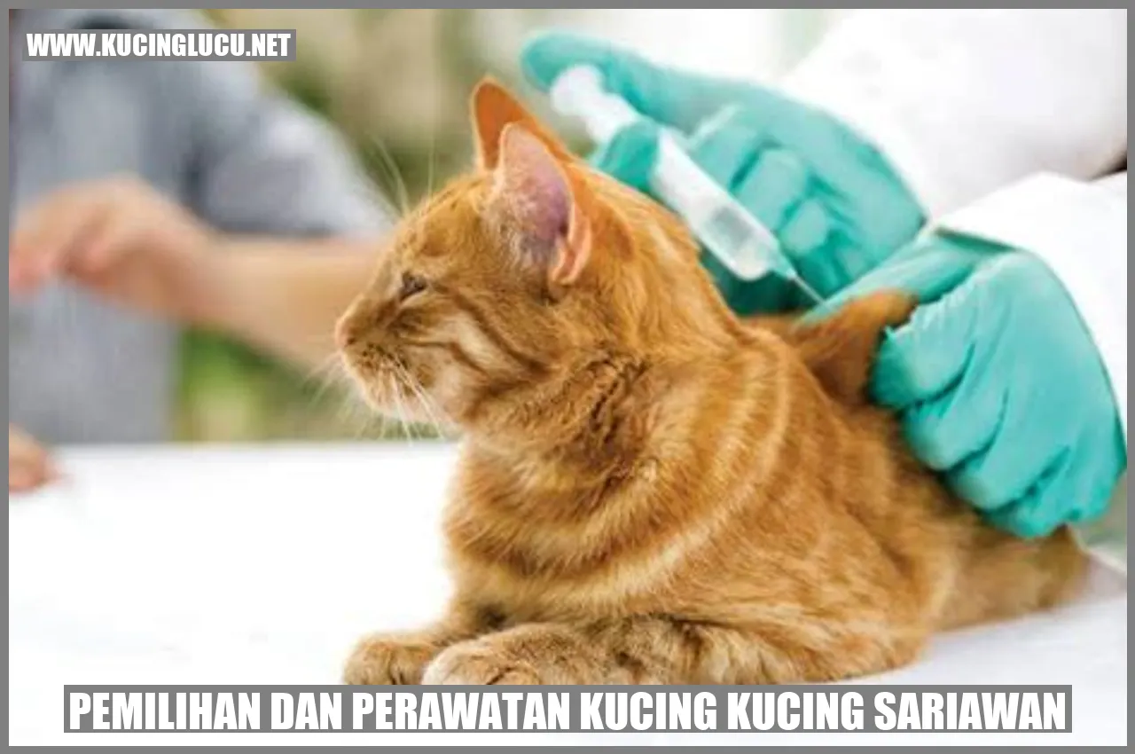 Kucing dengan sariawan