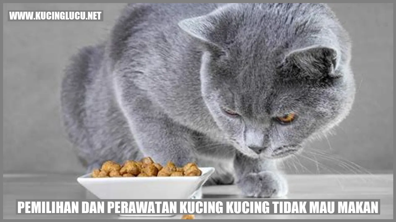 kucing lapar