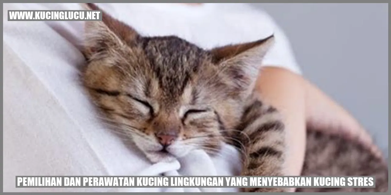 Kucing stres