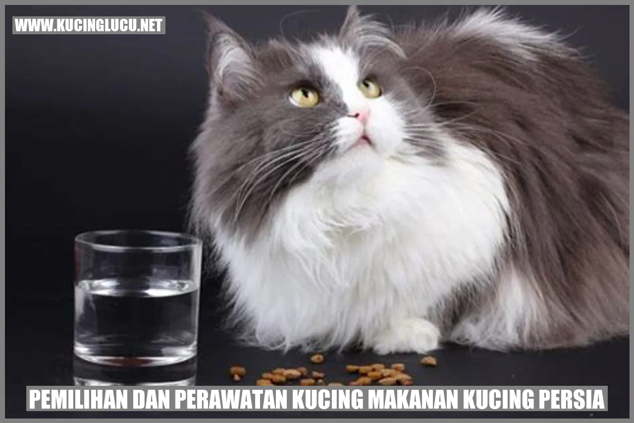 Kucing Persia