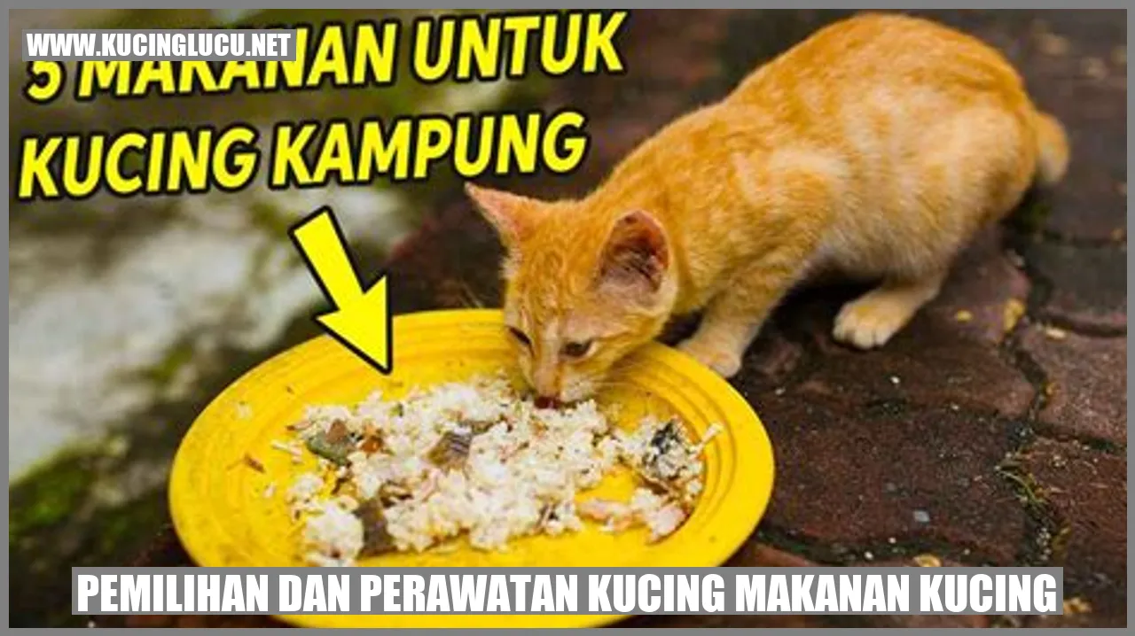 Gambar Kucing Makanan