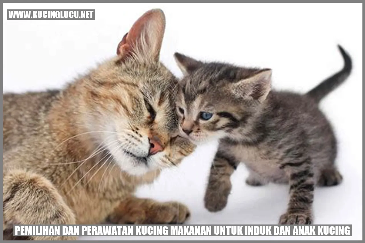 Gambar kucing bersantap