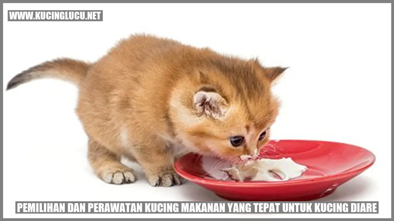 Kucing diare