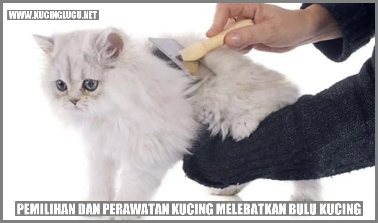Bulu kucing yang tebal