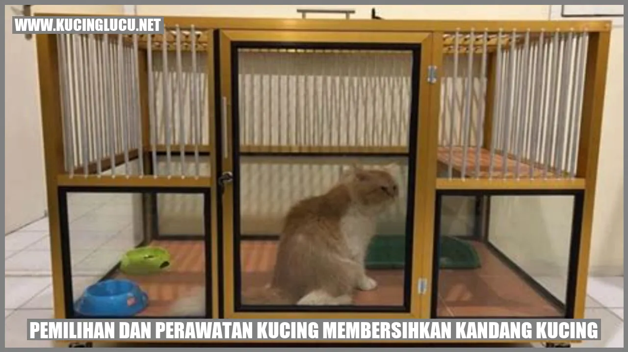 Kucing di dalam kandang