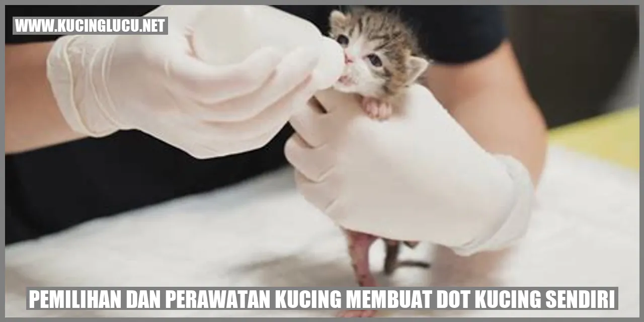Gambar Kucing
