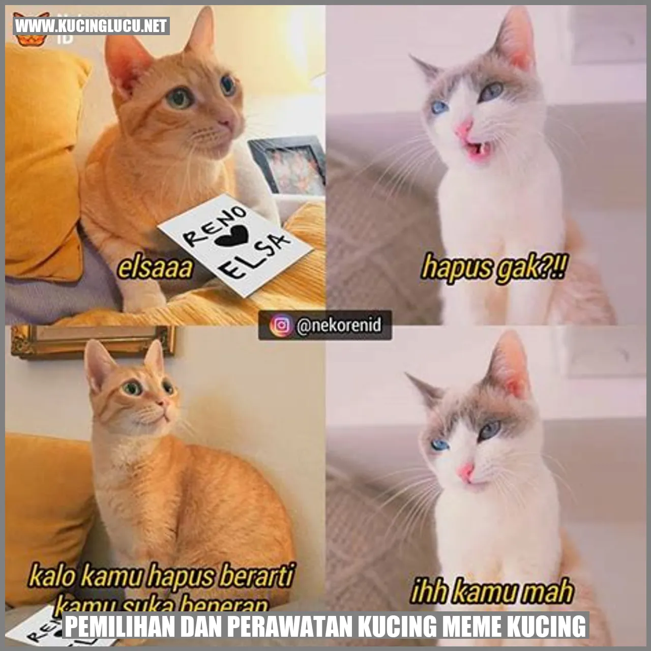 Kucing Meme