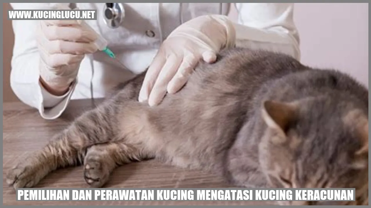 Gambar kucing menggemaskan