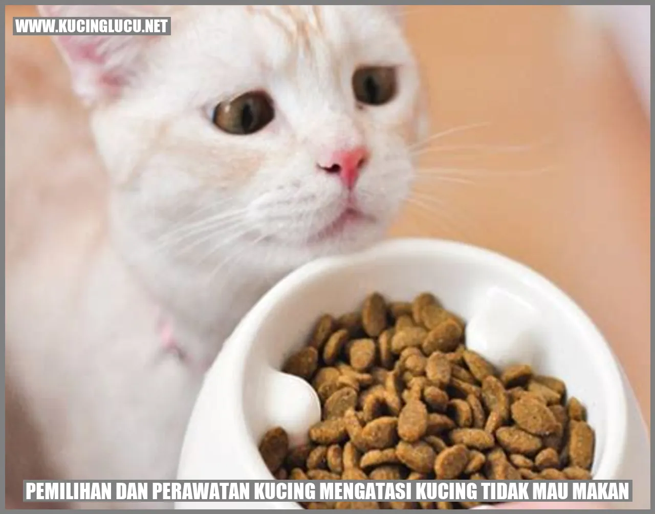 Gambar Kucing