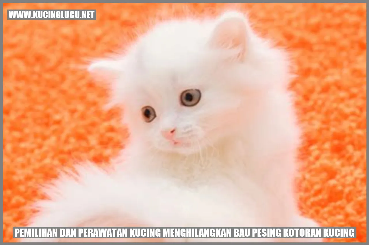 Gambar kucing