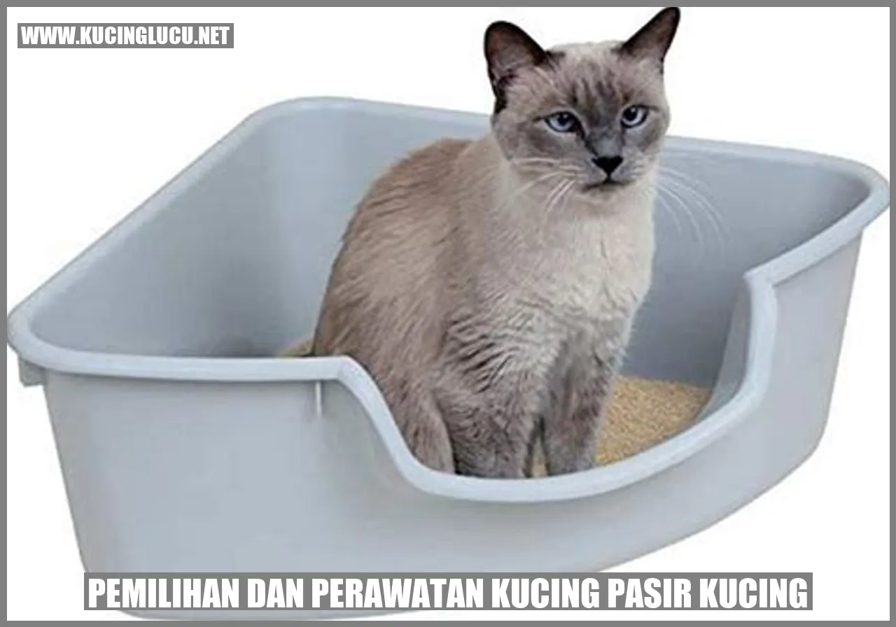 Kucing Pasir