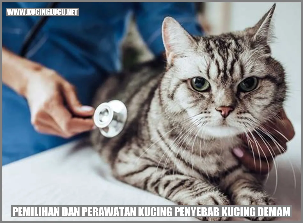 Gambar Kucing