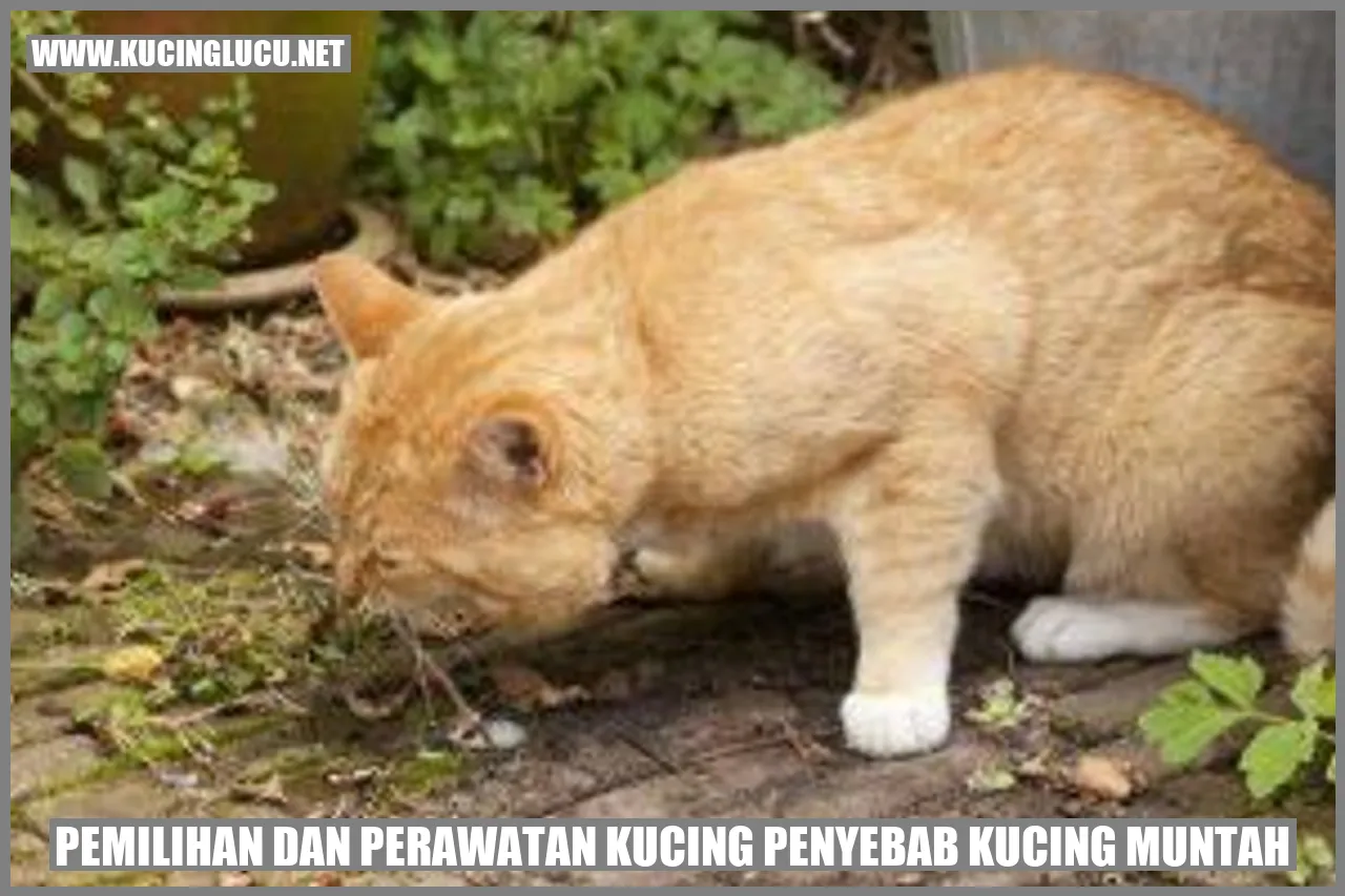 Pemilihan dan Perawatan Kucing penyebab kucing muntah