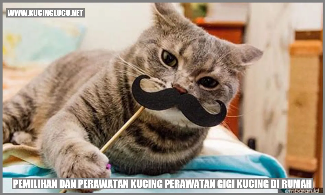 Pemilihan dan Perawatan Kucing perawatan gigi kucing di rumah