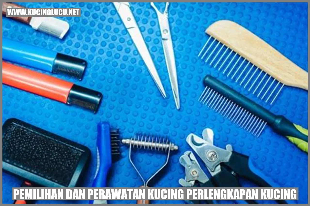 Gambar Kucing yang Menggemaskan