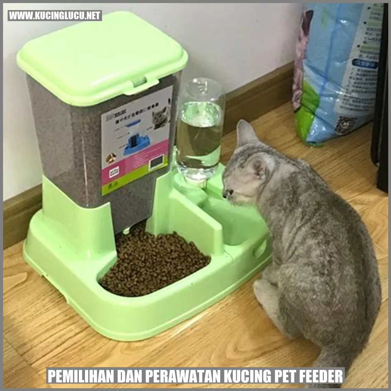 Kucing pet feeder