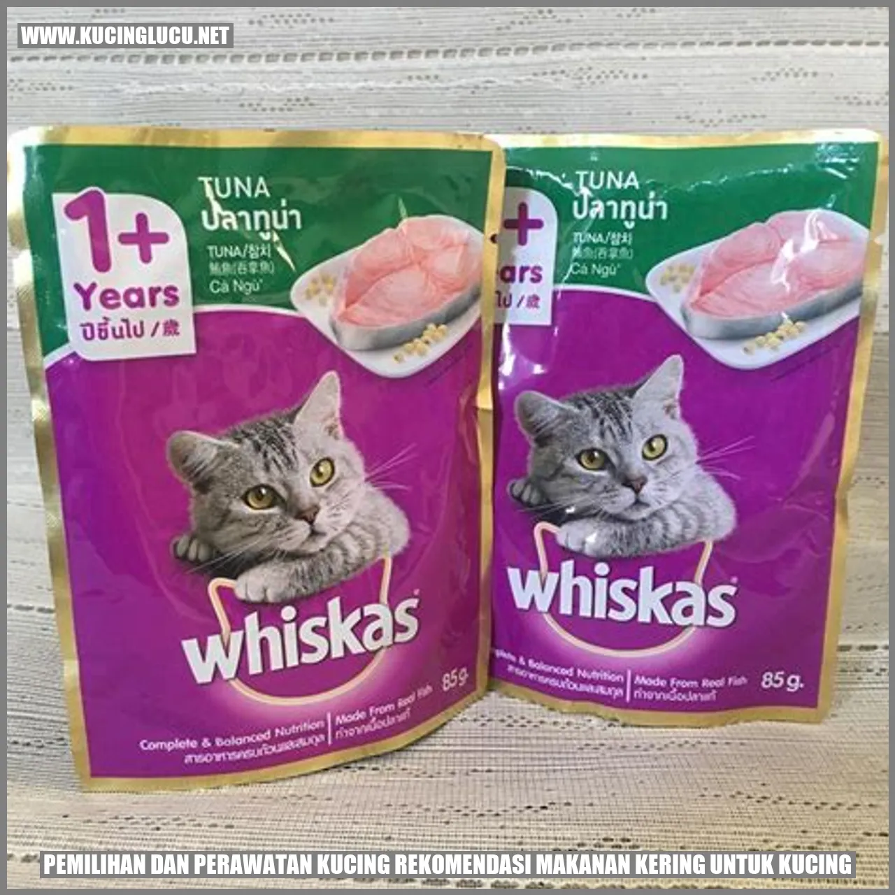 gambar kucing yang menggemaskan
