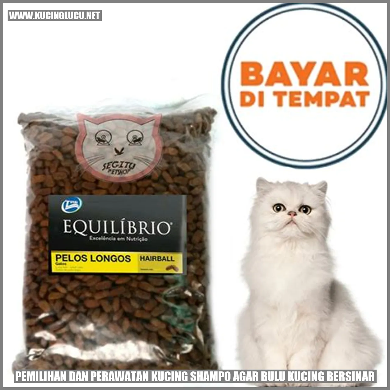 Shampo untuk bulu kucing yang terlihat menarik