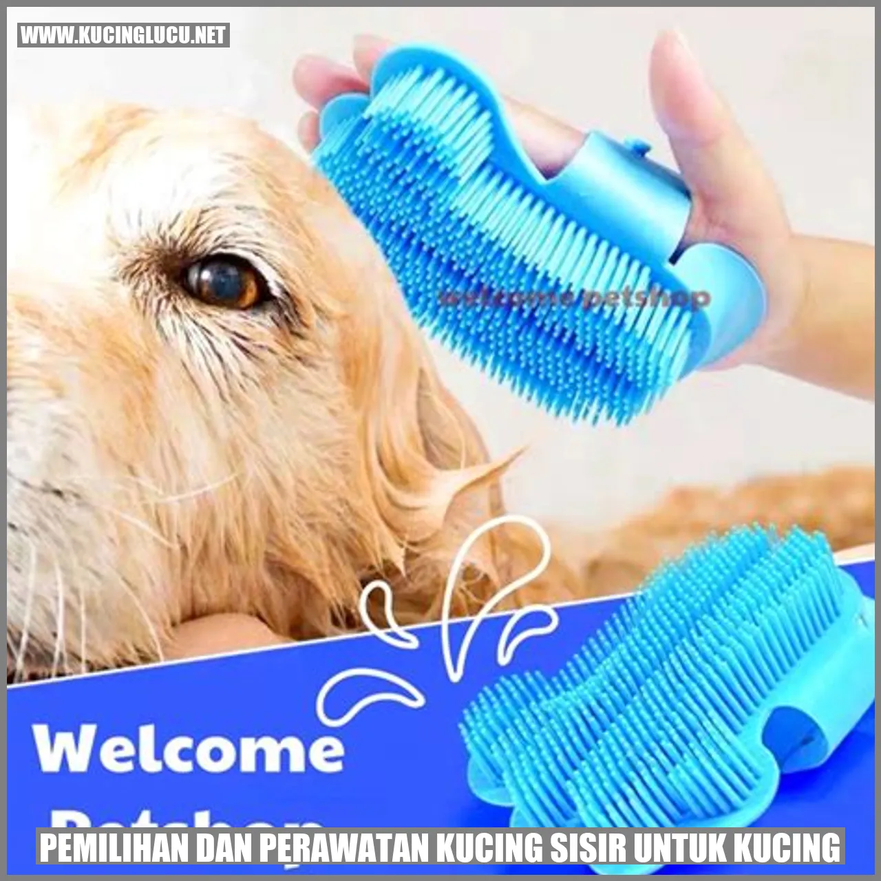 Kucing Sisir
