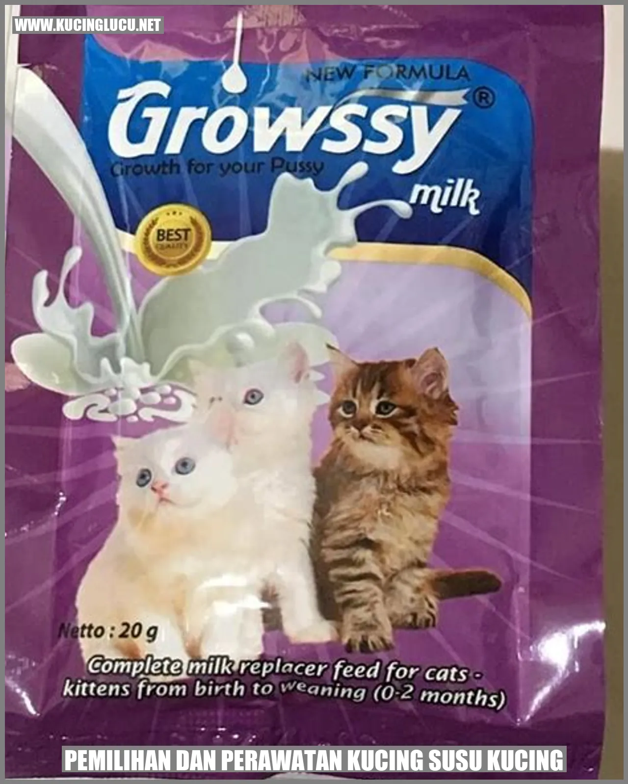 kucing susu kucing