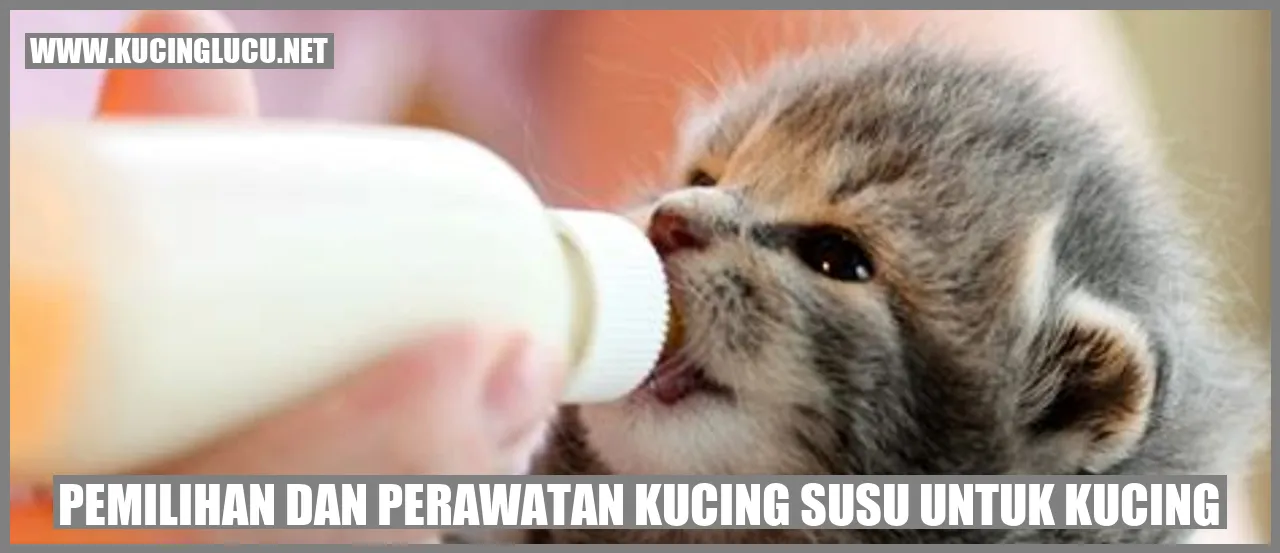 Kucing Persia