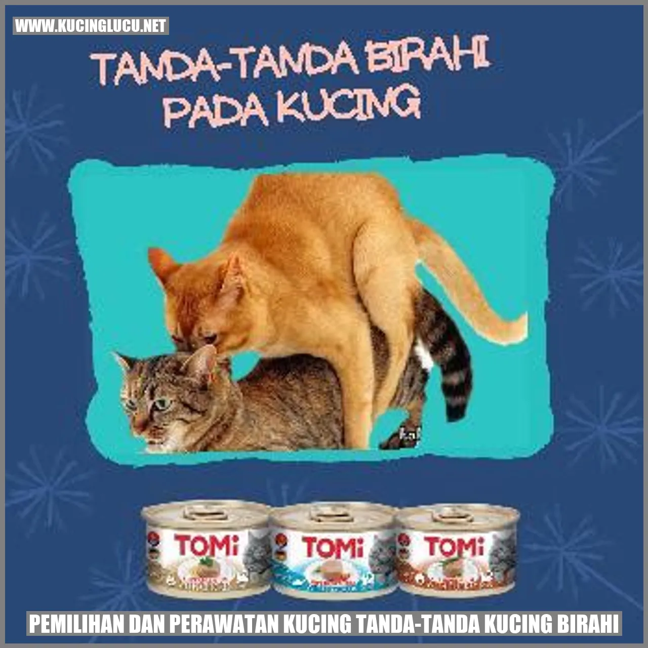 Kucing birahi