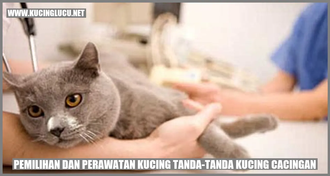 Kucing Gemas