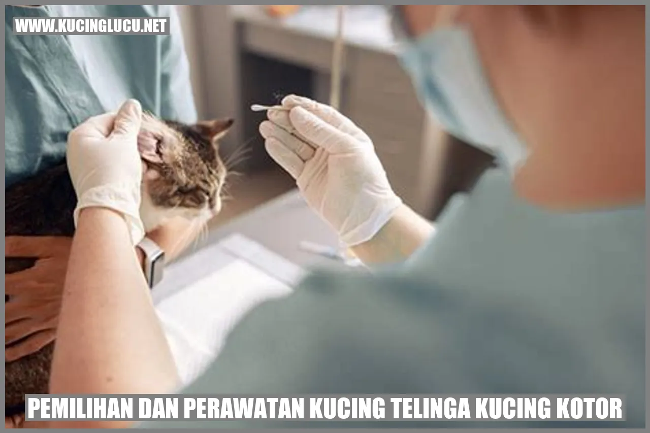 gambar kucing yang mengilustrasikan artikel