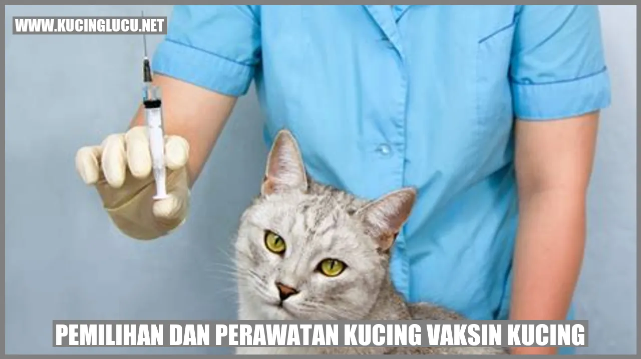 Gambar Kucing vaksin