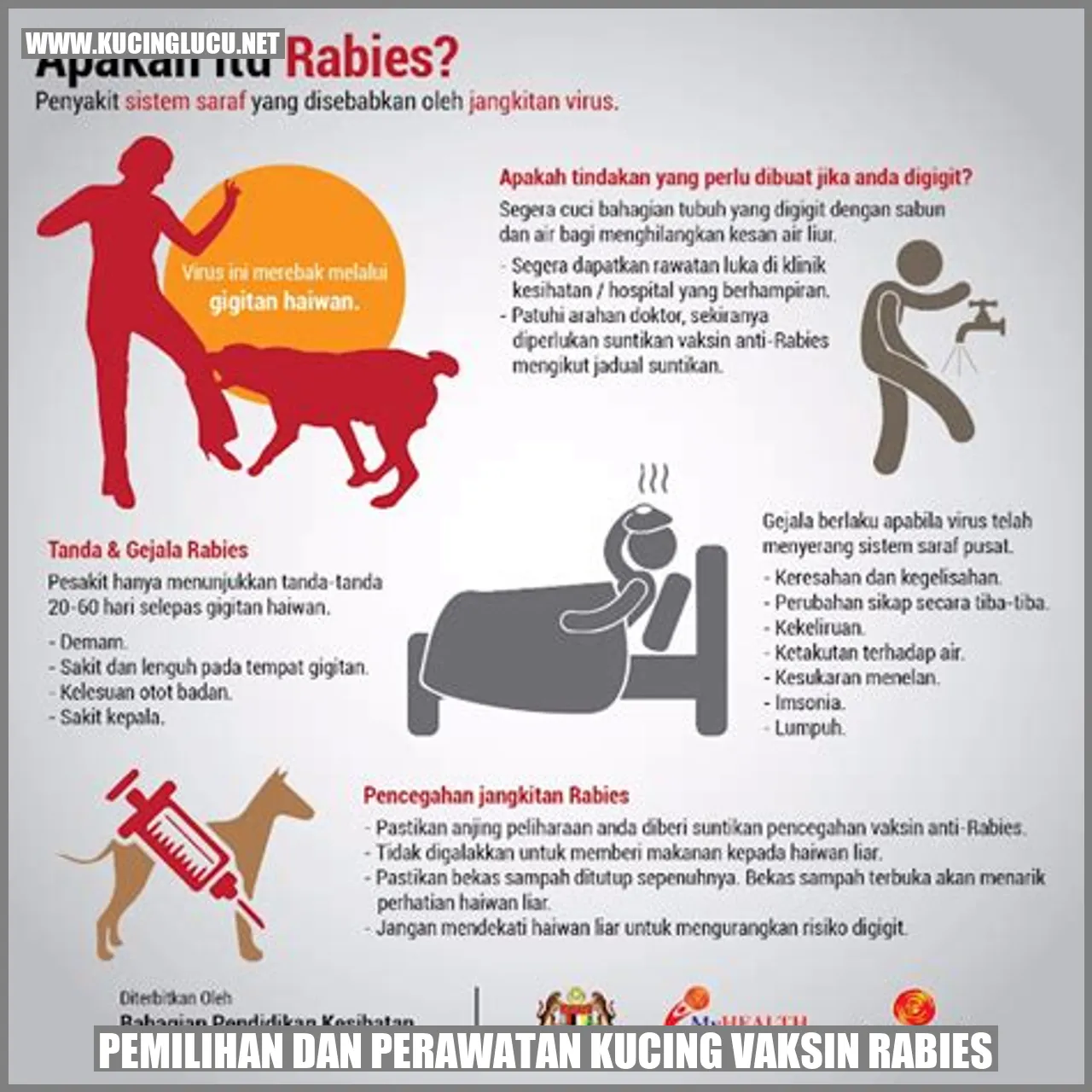 Kucing vaksin rabies