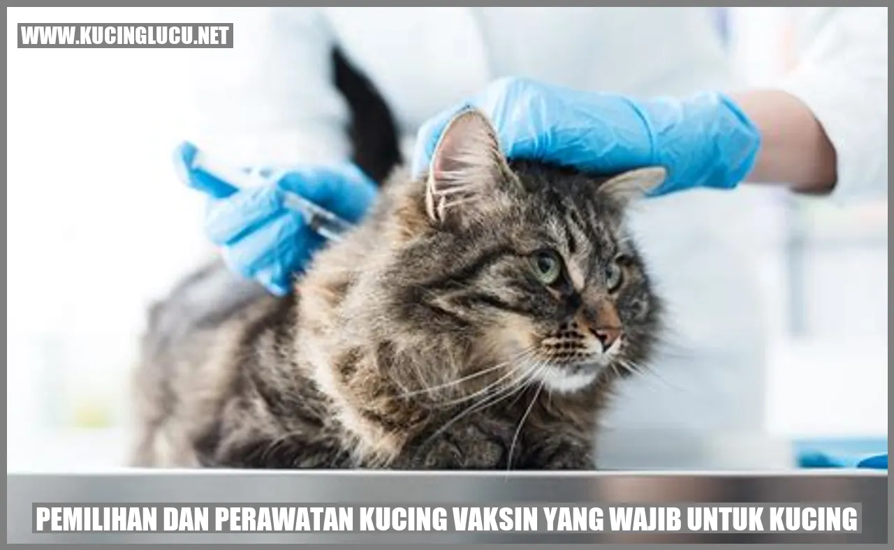 Kucing dengan vaksin