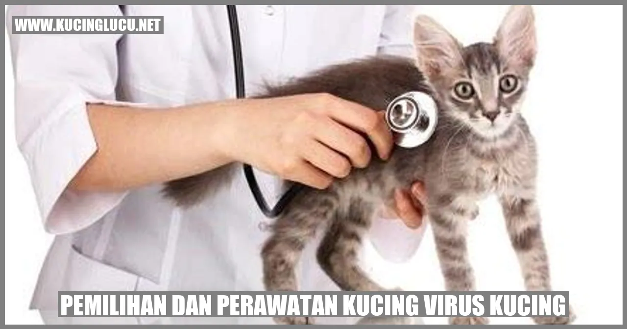 Kucing dengan virus kucing